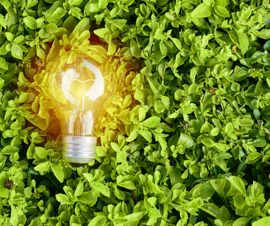 What type of light need for sprouting? HydroponiquePro