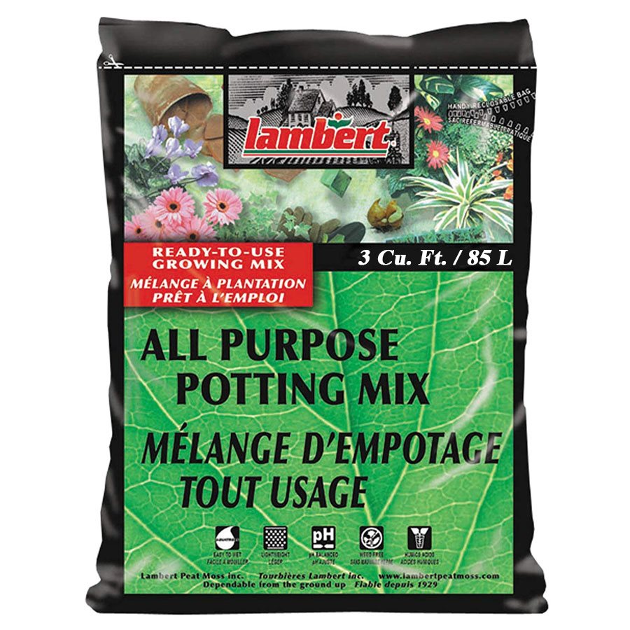 lambert potting mix near me lambert all purpose potting mix 85l – HydroponiquePro