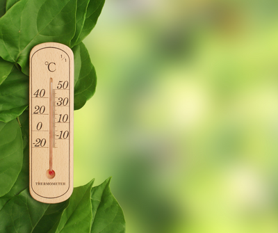 What is the best water temperature for hydroponic system?