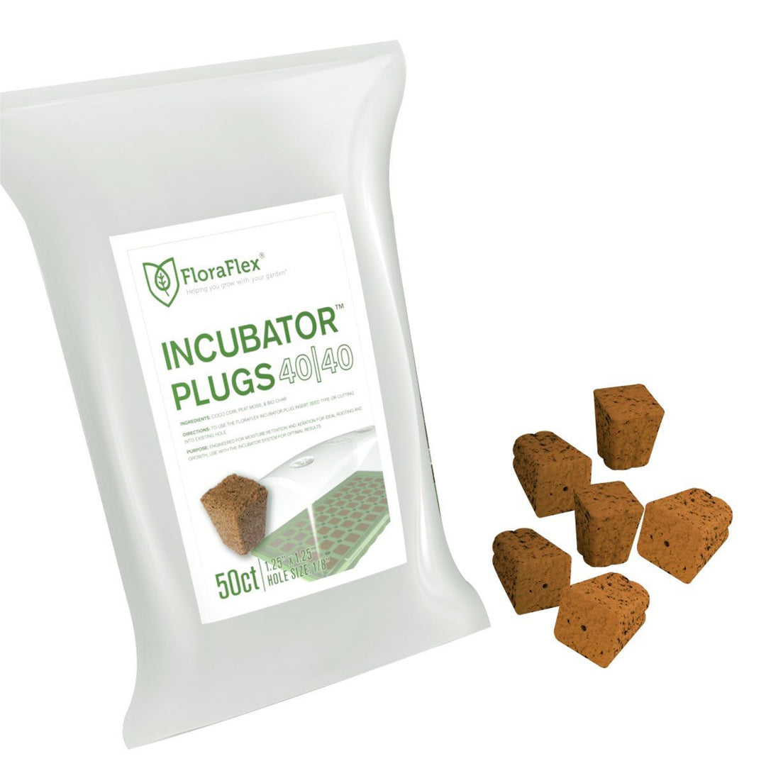 Cuttings + Germinations