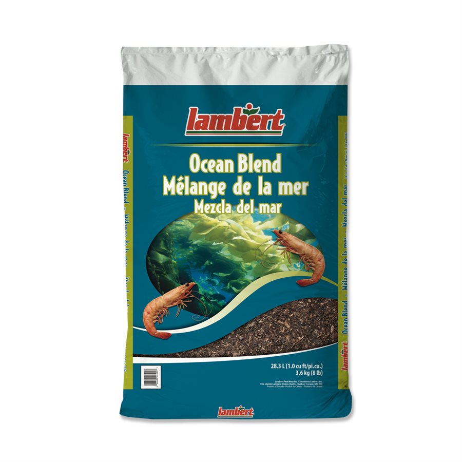 Lambert Ocean Blend