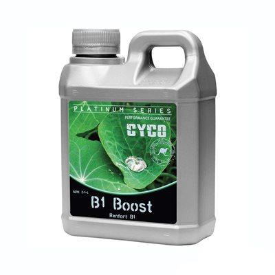 Cyco B1 Boost
