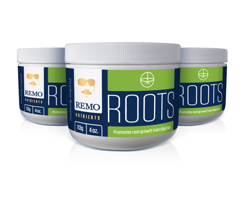 Gel pour bouturages de Remo