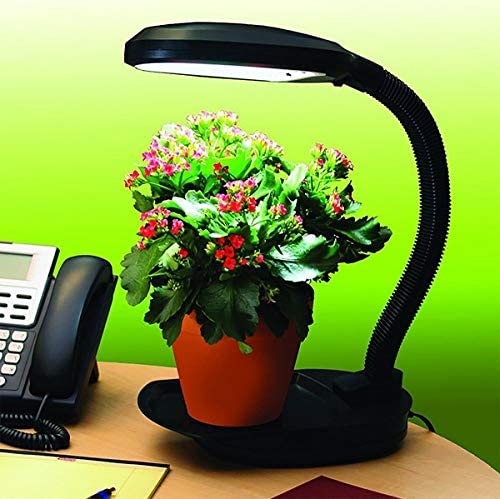 AgroBrite 14 Watt Desktop Plant Light, 14w LED, Black