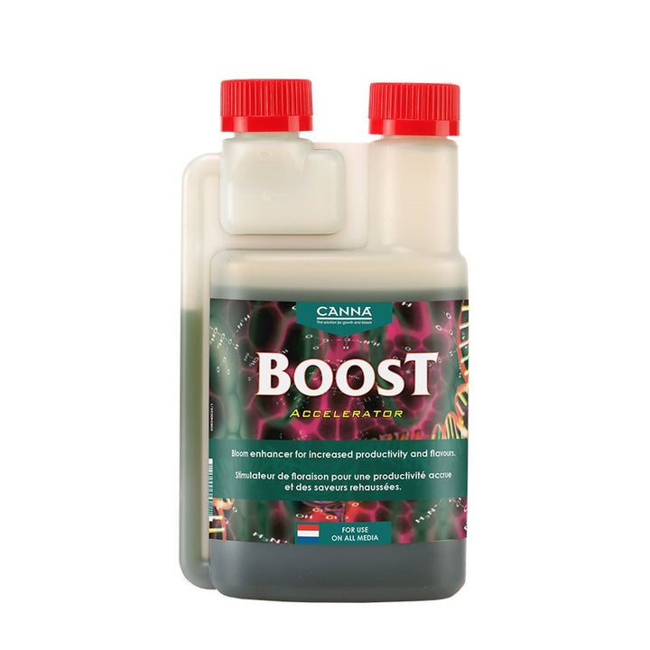 Canna- Boost Accélérateur