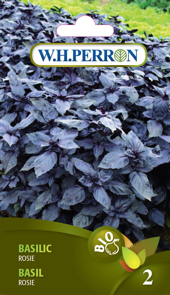 Semances Basilic Rosie Bio