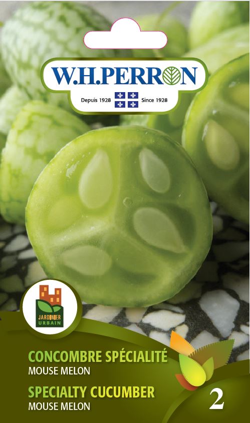 Semences - melon spécial concombre souris