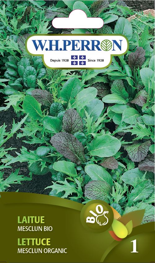 Seeds - Lettuce Mesclun Organic