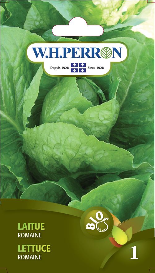 Seeds - Lettuce Romaine