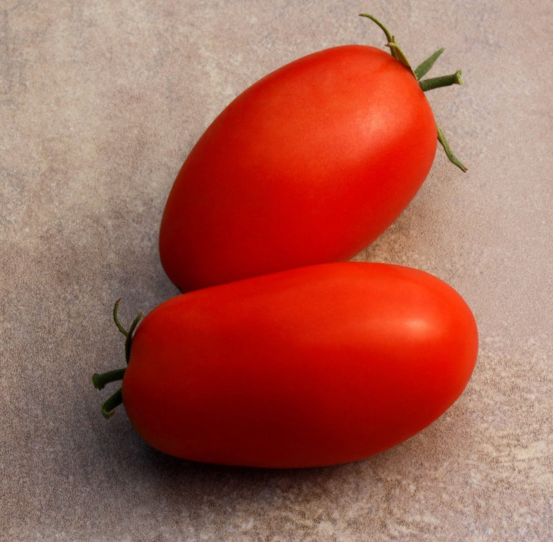 Seeds - Tomato-Italian Supremo F1