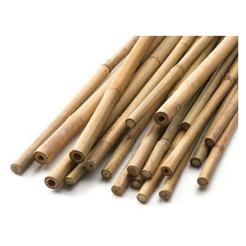 Canne en bambou naturel 5&