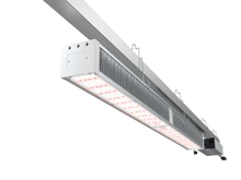 Futur Vert - FloraQueen 680W Lumière de culture LED pour serre