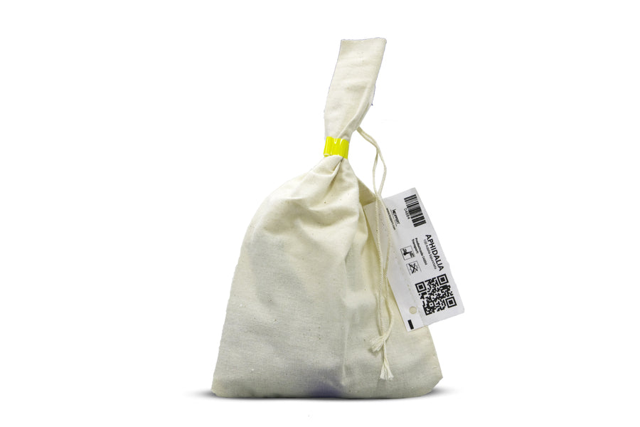 Koppert - Aphidalia ( Coléoptère prédateur (coccinelle)