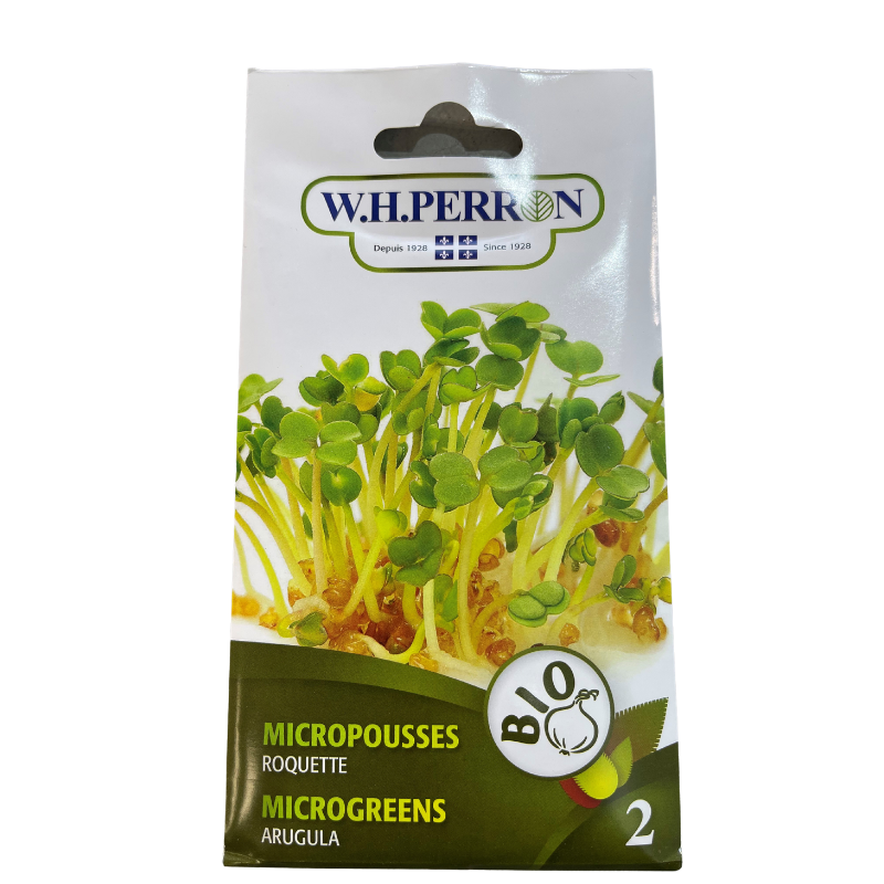 Semences - Micropousses Roquette