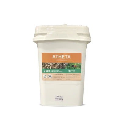 Koppert-Atheta-Dalotia coriaria (Disponible en magasin uniquement)