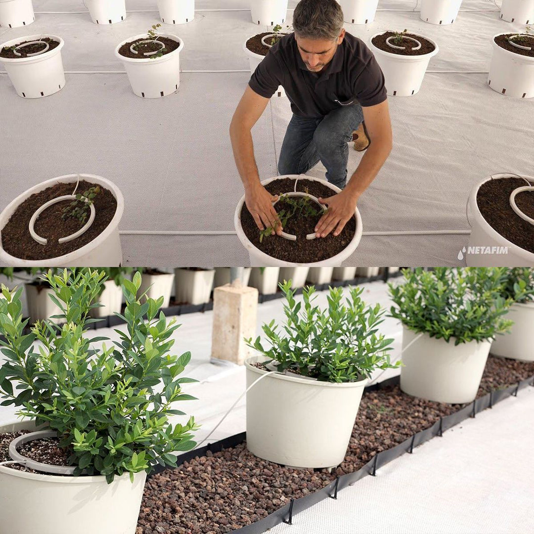 Netafim Netbow Drip Ring 5" 4 Outlets Barb (120/Cs)