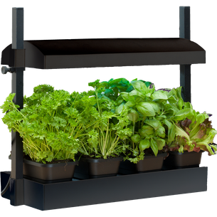 LED Growlight Garden Micro - Black