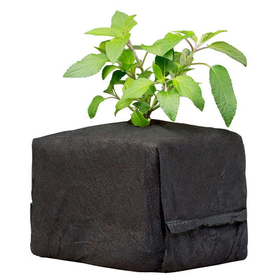 Botanicare CocoPro 6” x 6” x 6" Cube