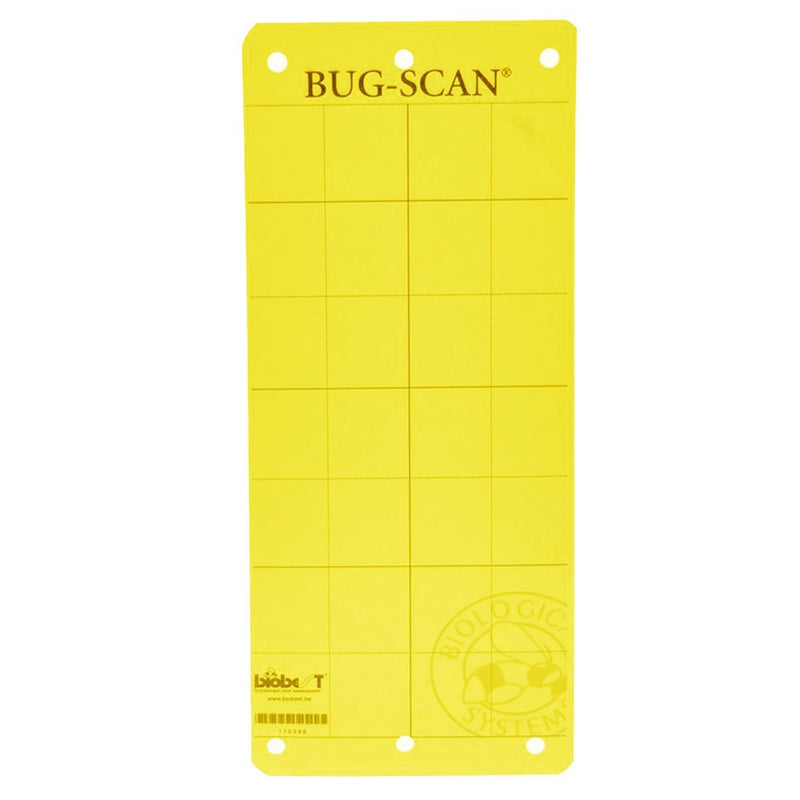 Bug-scan jaune pour les pucerons et les aleurodes 4" X 10". (20 / Pk)