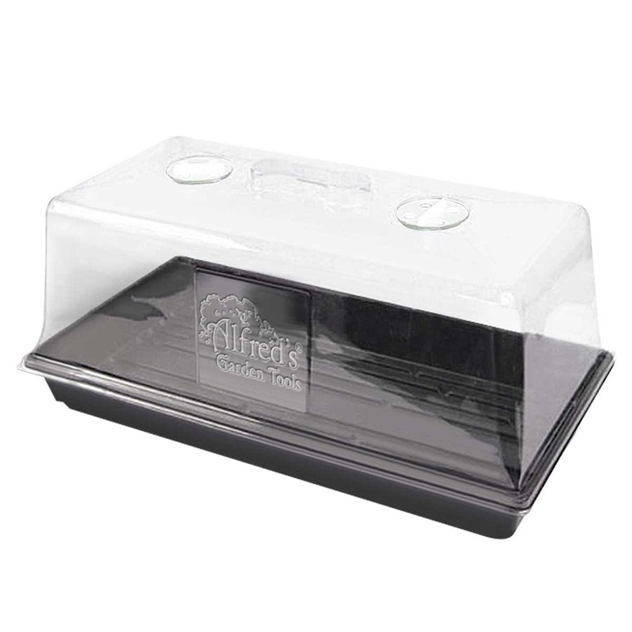 Alfred Clear Dôme 7"