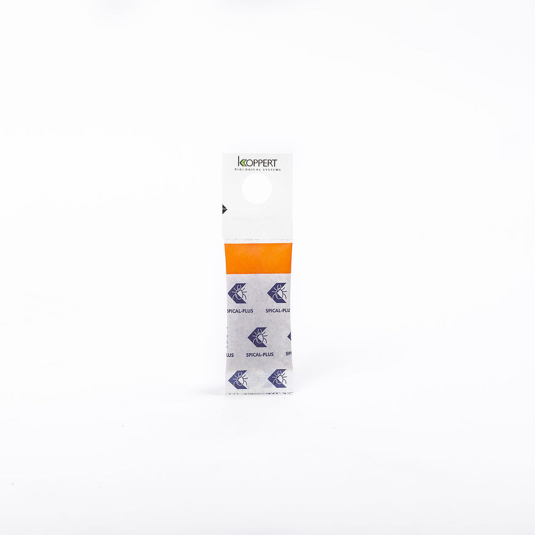 Koppert - Spical Plus (Disponible en magasin uniquement)