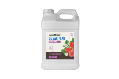 La grande finale de Earth Juice Sugar Peak