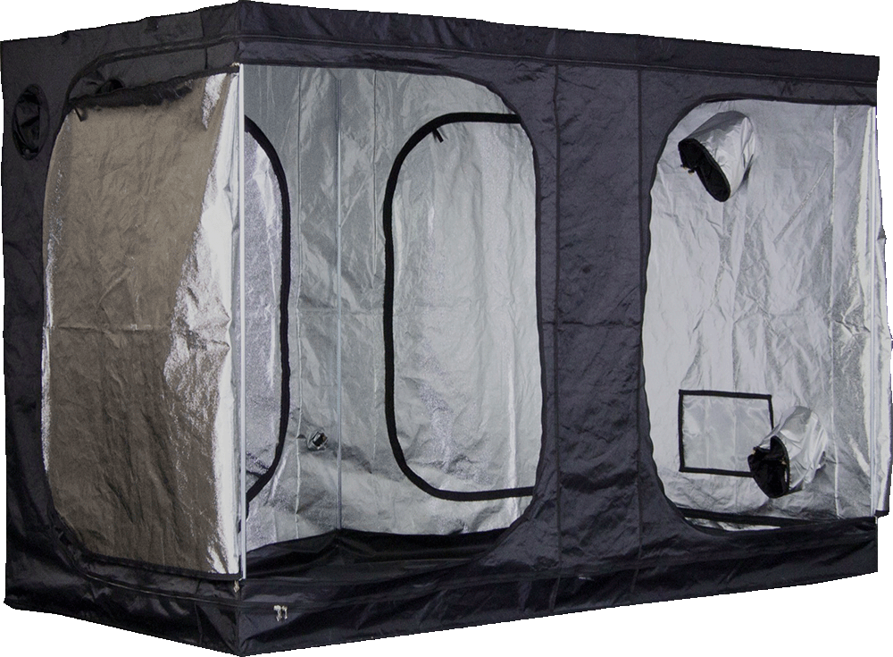 Tente Pro + Mammouth