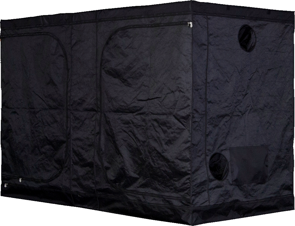 Tente Pro + Mammouth