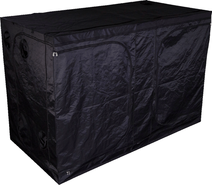 Tente Pro + Mammouth