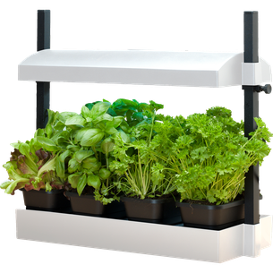 LED Growlight Garden Micro - White