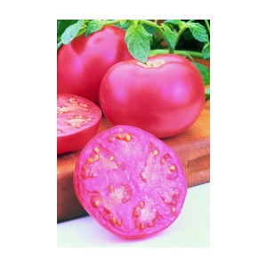 Graines - Tomate Round Pink Girl F1