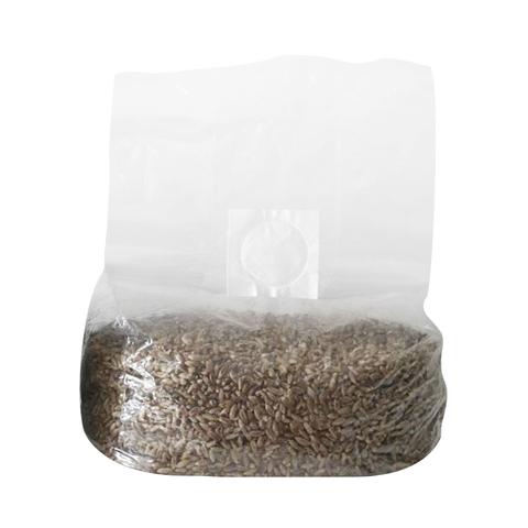 Sporeo™ Grain stérilisé