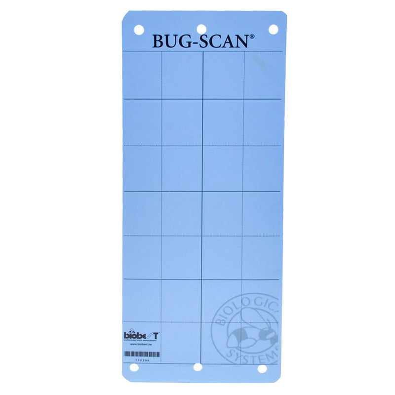 Bug-Scan Blue for Thrips / Leafminer 4" x 10" (10 / Pk)